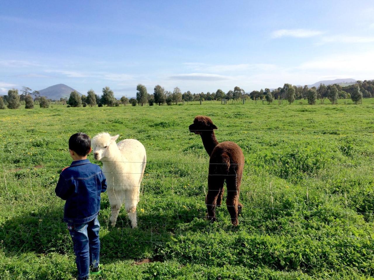 Taras Richmond Farmstay Campania Exterior photo